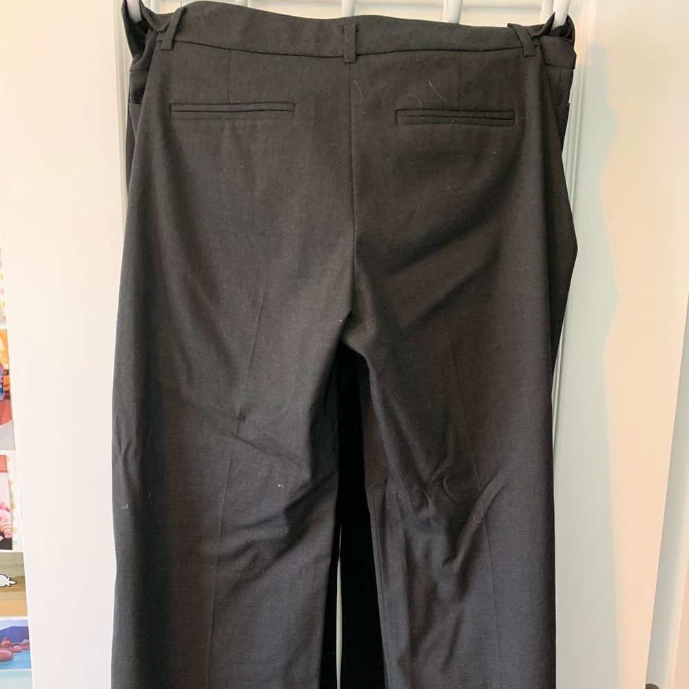 The Limited Dress Pants